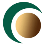 perito-informatico-cordoba-favicon